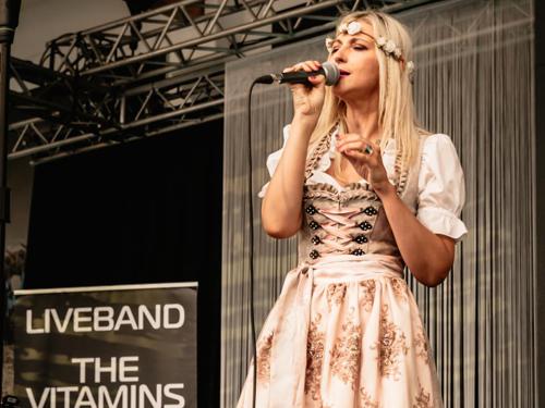 THE VITAMINS deine Hochzeitsband für Oberösterreich